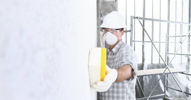 Best Commercial Mold Inspection  in USA